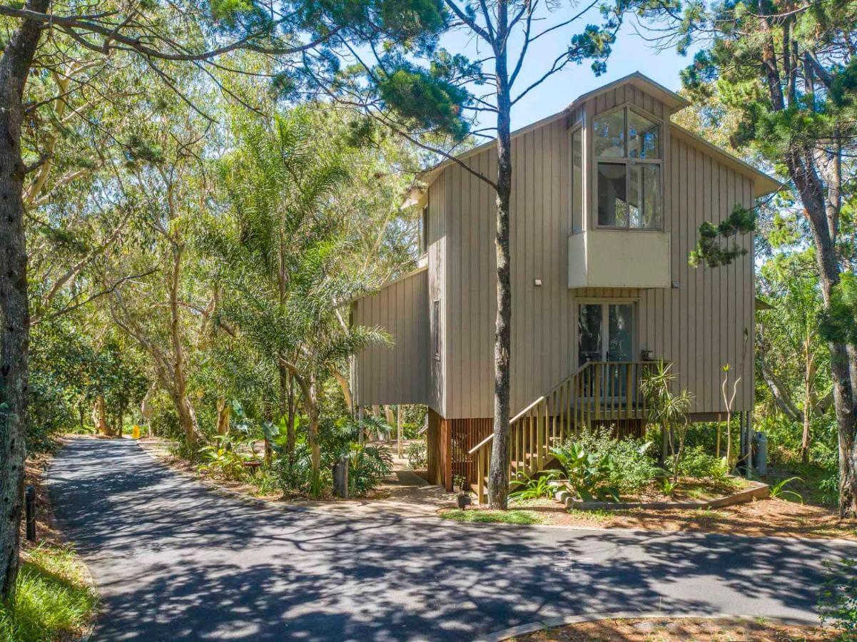 ביירון ביי The Oasis Apartments And Treetop Houses מראה חיצוני תמונה