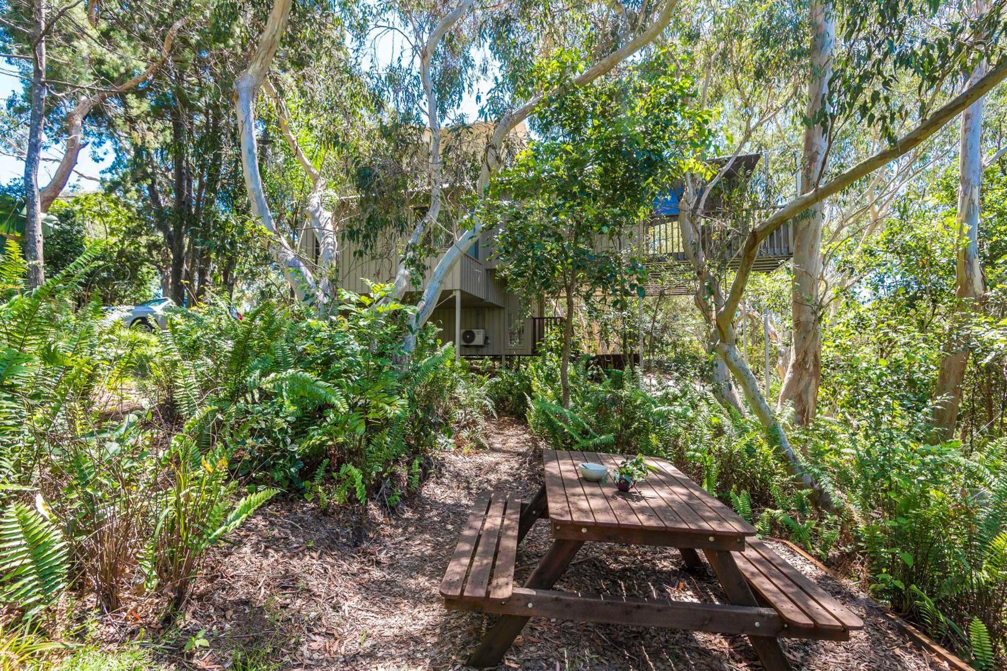 ביירון ביי The Oasis Apartments And Treetop Houses חדר תמונה